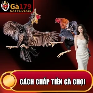 https://krishnagallery.co.in/wp-content/uploads/2026/04/cach-chap-tien-ga-choi.webp