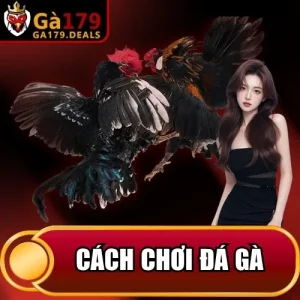 https://krishnagallery.co.in/wp-content/uploads/2026/04/cach-choi-da-ga.webp
