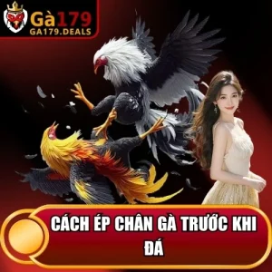 https://krishnagallery.co.in/wp-content/uploads/2026/04/cach-ep-chan-ga-truoc-khi-da.webp
