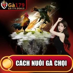 https://krishnagallery.co.in/wp-content/uploads/2026/04/cach-nuoi-ga-choi.webp