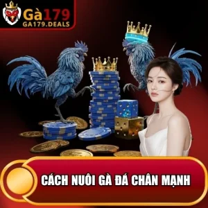 https://krishnagallery.co.in/wp-content/uploads/2026/04/cach-nuoi-ga-da-chan-manh.webp