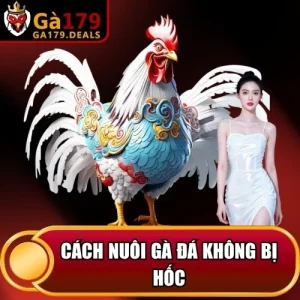 https://krishnagallery.co.in/wp-content/uploads/2026/04/cach-nuoi-ga-da-khong-bi-hoc.webp