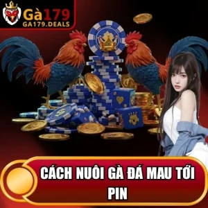 https://krishnagallery.co.in/wp-content/uploads/2026/04/cach-nuoi-ga-da-mau-toi-pin.webp