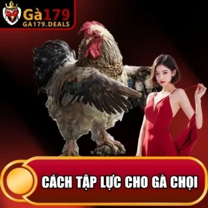 https://krishnagallery.co.in/wp-content/uploads/2026/04/cach-tap-luc-cho-ga-choi.webp