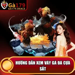 https://krishnagallery.co.in/wp-content/uploads/2026/04/huong-dan-xem-vay-ga-da-cua-sat.webp