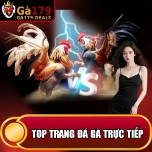 https://krishnagallery.co.in/wp-content/uploads/2026/04/top-trang-da-ga-truc-tiep.webp